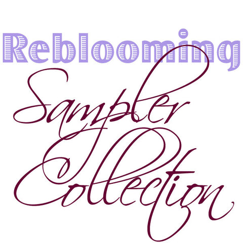 Reblooming Collection